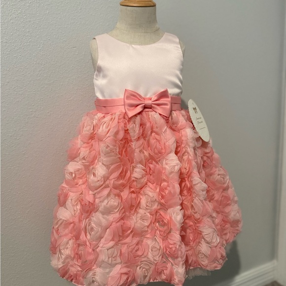 American Princess Other - American Princess Pink Rosette Toddler Dress & hair clips - Special Event